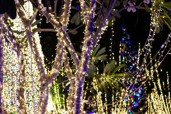 Luzes decorativas de corda ao ar livre penduradas na árvore no jardim — Fotografia de Stock