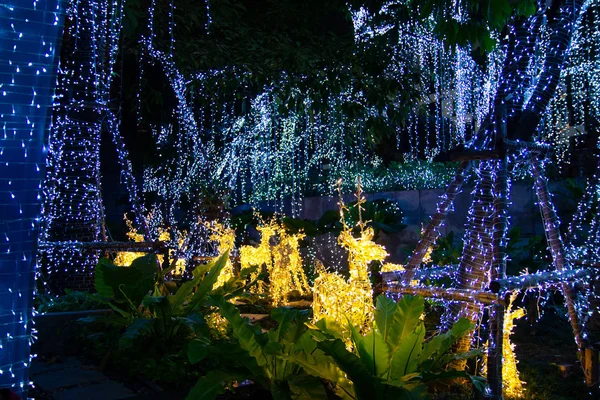 Luzes decorativas de corda ao ar livre penduradas na árvore no jardim — Fotografia de Stock