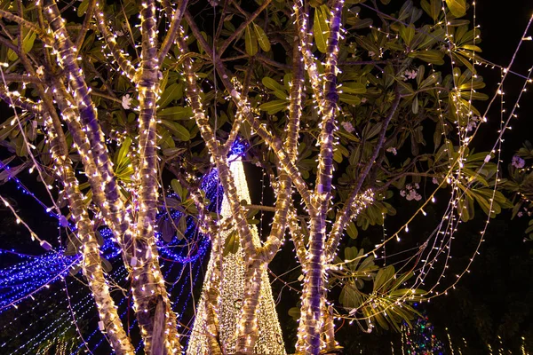 Decorative luci di stringa all'aperto appese sull'albero in giardino — Foto Stock