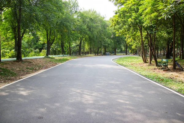 Roads and trees in a natural park for relaxing at Bangkok — Stock Photo, Image