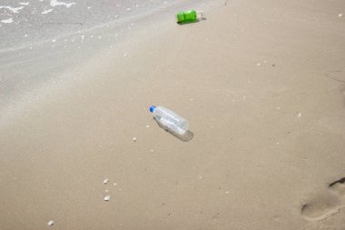 bir plajda çöp ve plastik şişe ve kirli atık  