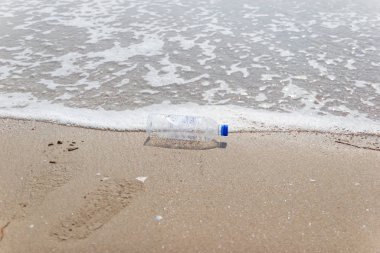 bir plajda çöp ve plastik şişe ve kirli atık 