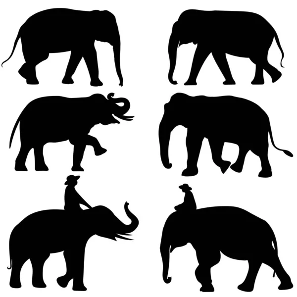 Черное Изображение Очертания Слона Азия Ходьба Графический Вектор Дизайна Иллюстрация — стоковый вектор