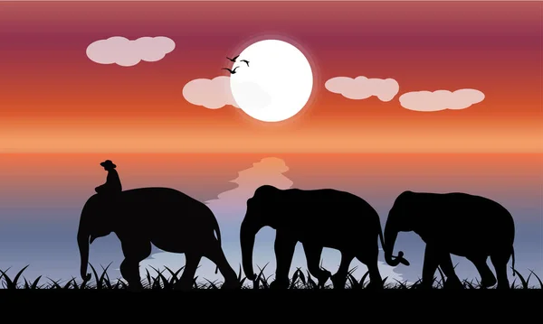 Bild Silhouette Dämmerung Schwarzer Elefant Mit Elefant Mahout Strand Mit — Stockvektor