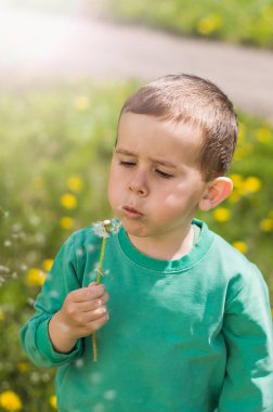 Yeşil elbiseli küçük çocuk güneşli bir günde beyaz tüylü bir karahindiba üflüyor..