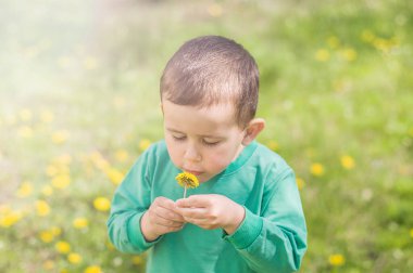 Güneşli bir günde elinde sarı karahindiba tutan yeşil elbiseli küçük bir çocuk..