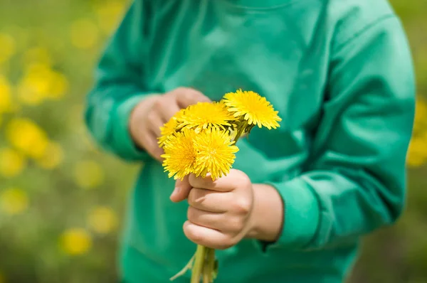 Little boy dressed in a green clothes holding yellow dandelion on sunny day. Closeup view.