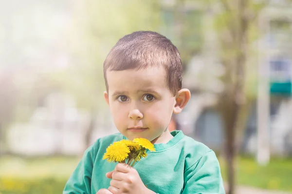 Little boy dressed in a green clothes holding yellow dandelion on sunny day.