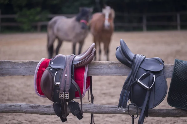 Twee zadels en twee paarden — Stockfoto