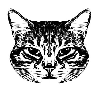 Beyaz arka planda kedi başlı siyah beyaz resim, dijital sanat 