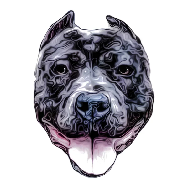 Färgad Konstnärlig Hund Isolerad Vit Bakgrund — Stockfoto