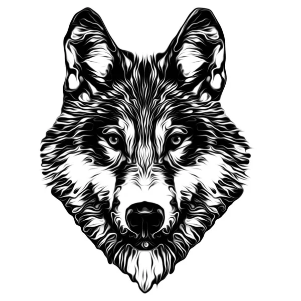 Schwarz Weiß Künstlerischer Wolf Isoliert Auf Weißem Hintergrund — Stockfoto