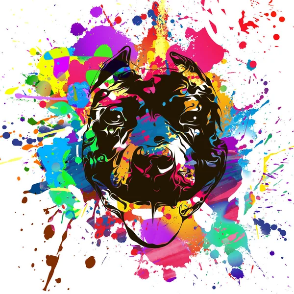 Colorful Artistic Dog Muzzle Isolated White Background — Stock Photo, Image