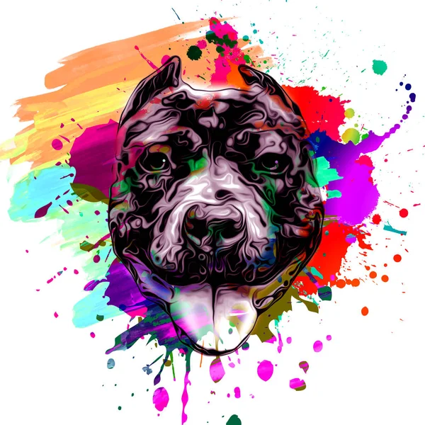 Colorido Artístico Cão Focinho Isolado Fundo Branco — Fotografia de Stock