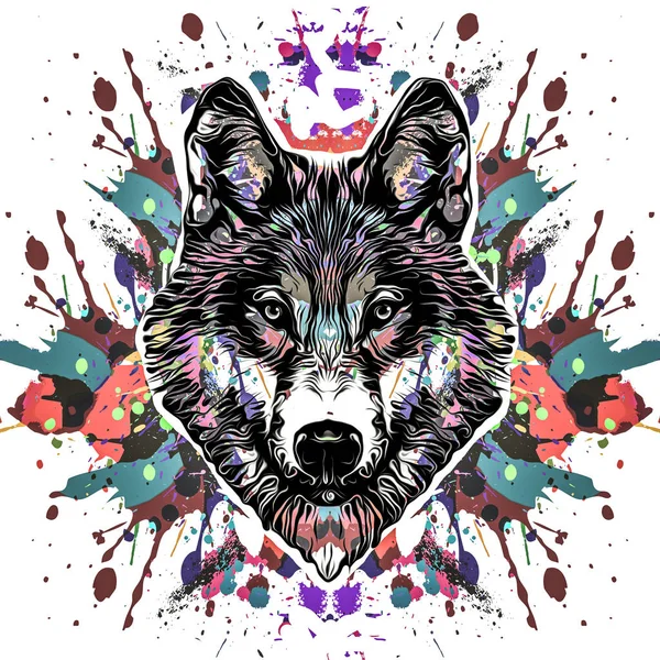 Красочный Художественный Волк Морда Изолированы Белом Фоне — стоковое фото