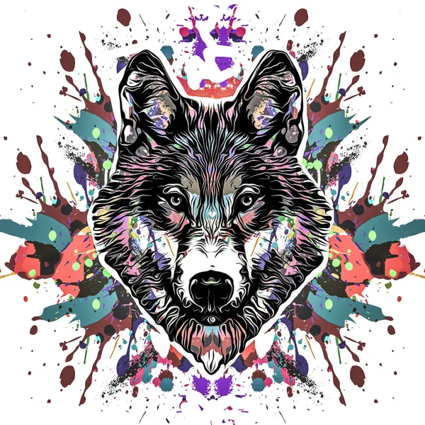 Colorful Artistic Wolf Muzzle Isolated White Background Stock Picture
