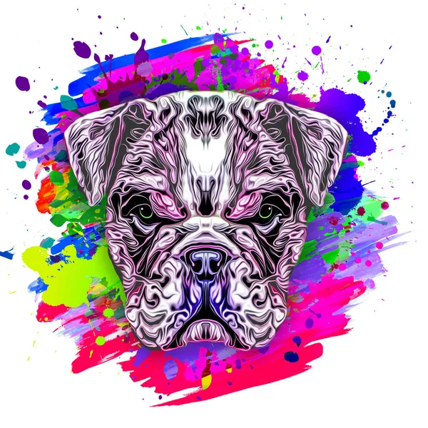 Colorful Artistic Dog Muzzle Isolated White Background — Stock Photo, Image