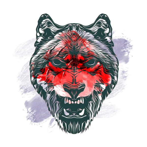 Wolf Head Creative Abstract Colorful Spots Elements White Background — Stock Photo, Image