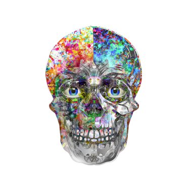 kafatası arka planda beyaz bir arkaplan