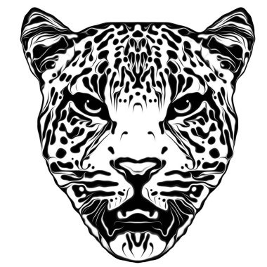 Arka plandaki kaplanın başı.