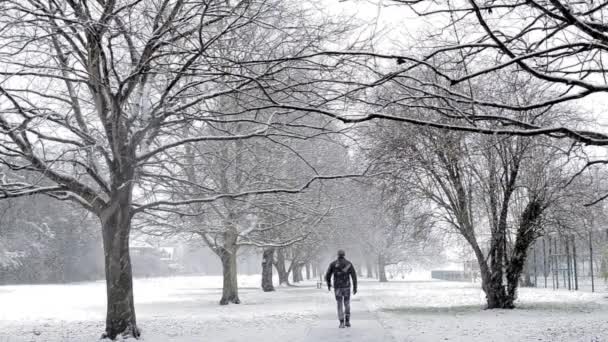 ロンドン 2017 ロンドンの大雪 雪に覆われた公園を歩く男 — ストック動画