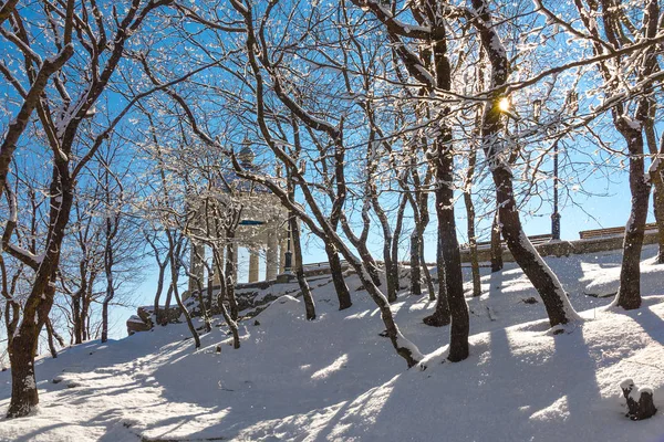冬の公園で円形建築. — ストック写真