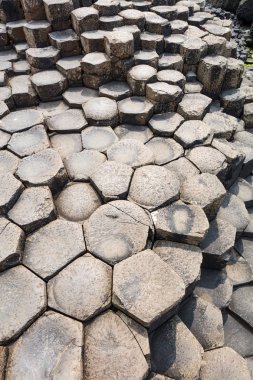 Giants Causeway County Antrim Kuzey İrlanda içinde