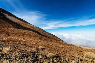 Teide Milli Parkı, Tenerife, Kanarya Adaları - Montana Blanca volkanik tırmanış Trail renkli toprak. 3718 m Teide tepeye kadar İspanya'nin bu doğa yürüyüşü yol uzun ve zorludur