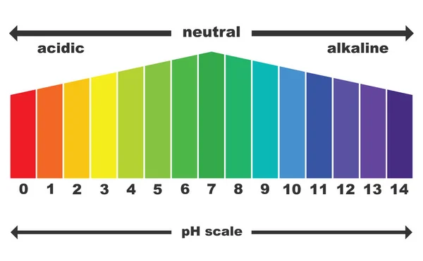 Scale of ph value for acid and alkaline solutions, vector isolated — Stock Vector