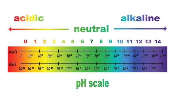 шкала ph для кислотных и щелочных растворов, изолированный вектор
 
