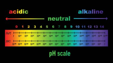asit ve alkali çözümleri için ph değerinin ölçeklemek, izole veya siyah arka plan vektör 