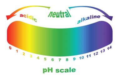 ölçek için çözümler, asit ve alkali ph değeri izole vektör
