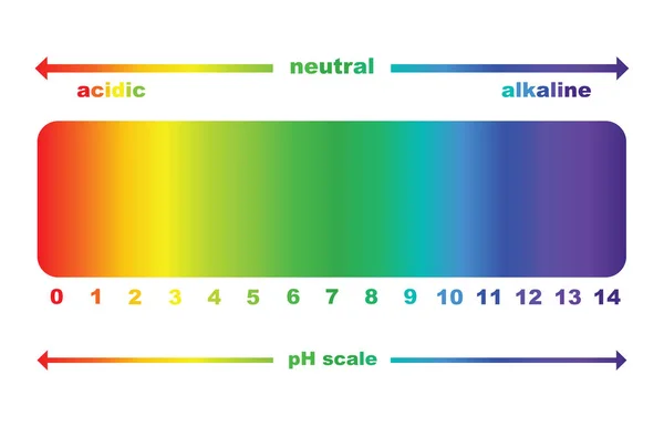 Масштаб значення ph для кислотних і лужних розчинів, вектор ізольовано — стоковий вектор