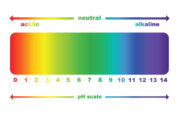 шкала ph для кислотных и щелочных растворов, изолированный вектор
