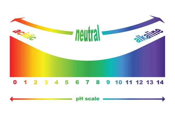 Scale of ph value for acid and alkaline solutions, vector isolated — Stock Vector