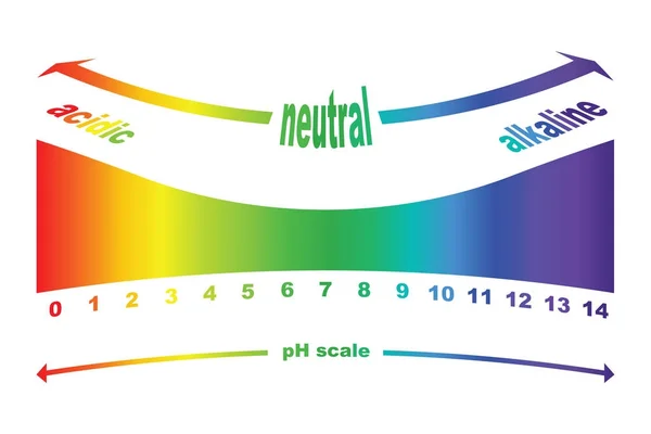 Scale of ph value for acid and alkaline solutions, vector isolated — Stock Vector