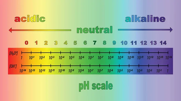 PH-Wert-Skala für saure und alkalische Lösungen, vektorisoliert — Stockvektor