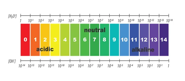 Skala av ph-värdet för sura och alkaliska lösningar, vektorgrafik isolerade eller vit bakgrund — Stock vektor