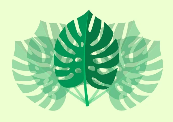 明るい緑の背景に分離された熱帯の葉モンステラ植物。ベクトル図 — ストックベクタ