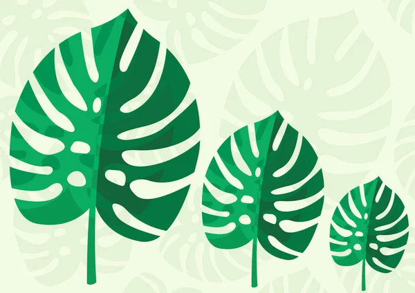 Tropical Leaf Monstera Planta aislada sobre fondo verde claro. Ilustración vectorial — Vector de stock