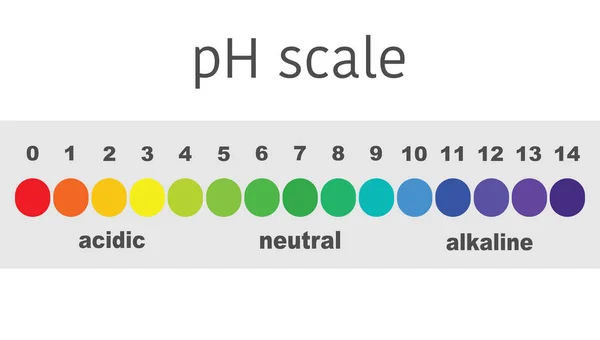 Scala di valore ph per soluzioni acide e alcaline, equilibrio acido-base infografico. scala per analisi chimica base acida. illustrazione vettoriale — Vettoriale Stock