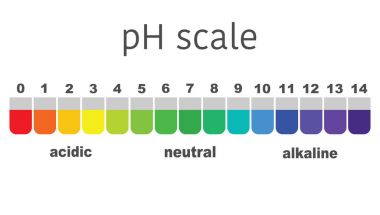 scale of ph value for acid and alkaline solutions, infographic acid-base balance. scale for chemical analysis acid base. vector illustration clipart