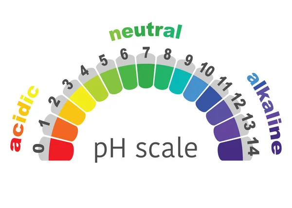 Escala de valor ph para soluciones ácidas y alcalinas, equilibrio ácido-base infográfico. escala para el análisis químico base ácida. ilustración vectorial fondo aislado o blanco — Vector de stock