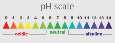 asit ve alkalin çözeltileri için ph değeri ölçeği, infografik asit taban dengesi. Kimyasal analiz asidi tabanı için ölçek. Vektör illüstrasyonu izole veya gri arkaplan