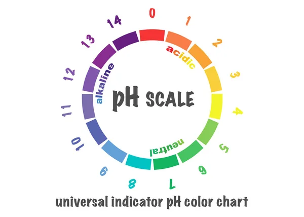 Savas és lúgos oldatok pH-értékének skálája, infografikus sav-bázis egyensúly. a savbázis kémiai analíziséhez használt skála. vektor illusztráció elszigetelt vagy fehér háttér — Stock Vector