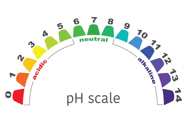 Échelle de valeur ph pour les solutions acides et alcalines, infographie équilibre acide-base. échelle pour l'analyse chimique acide base. illustration vectorielle fond isolé ou blanc — Image vectorielle