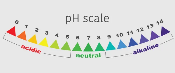 Scale of ph value for acid and alkaline solutions, infographic acid-base balance. scale for chemical analysis acid base. vector illustration isolated or grey color background — Stock Vector