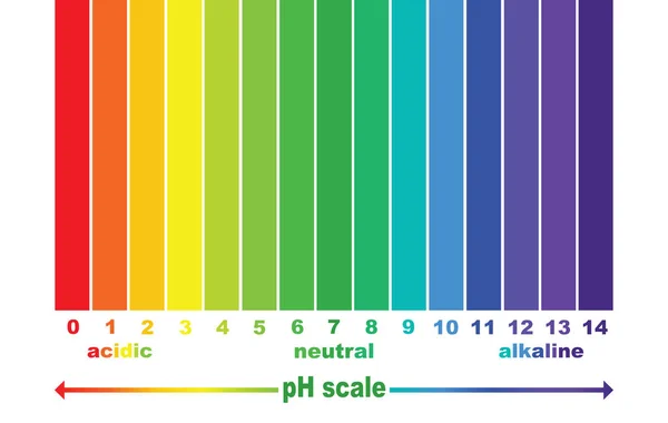 Escala Valor Para Soluciones Ácidas Alcalinas Equilibrio Ácido Base Infográfico — Vector de stock