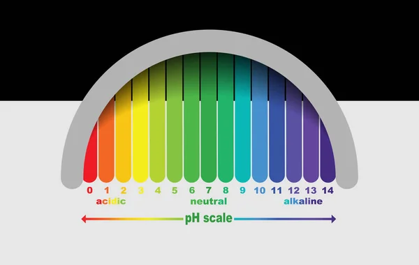 Savas és lúgos oldatok pH-értékének skálája, infografikus sav-bázis egyensúly. a savbázis kémiai analíziséhez használt skála. vektor illusztráció elszigetelt vagy fehér háttér — Stock Vector