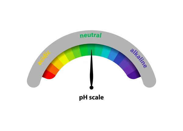 Asit ve alkalin çözeltileri için ph değeri ölçeği, infografik asit taban dengesi. Kimyasal analiz asidi tabanı için ölçek. Vektör illüstrasyonu izole veya beyaz arkaplan — Stok Vektör